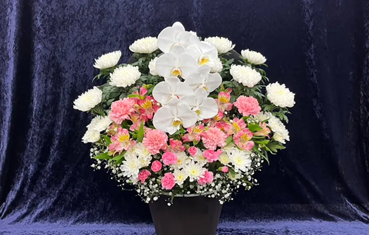 菊・洋花ミックス 19,800円(税込)の商品見本