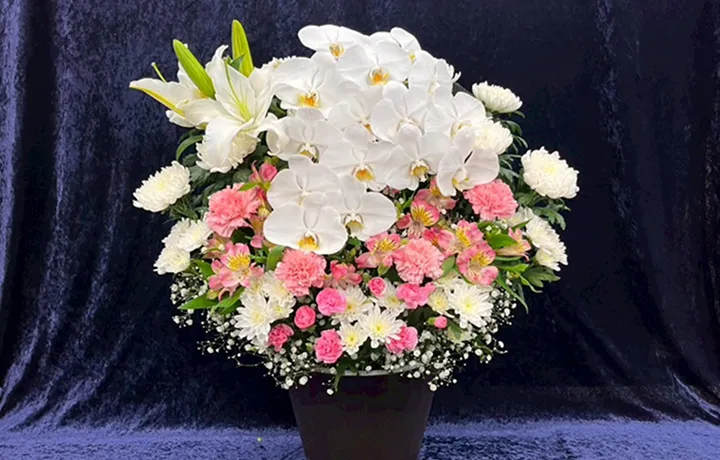菊・洋花ミックス 26,400円(税込)の商品見本