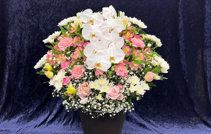 洋花 19,800円(税込)の商品見本
