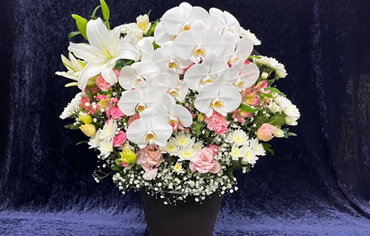 洋花 26,400円(税込)の商品見本